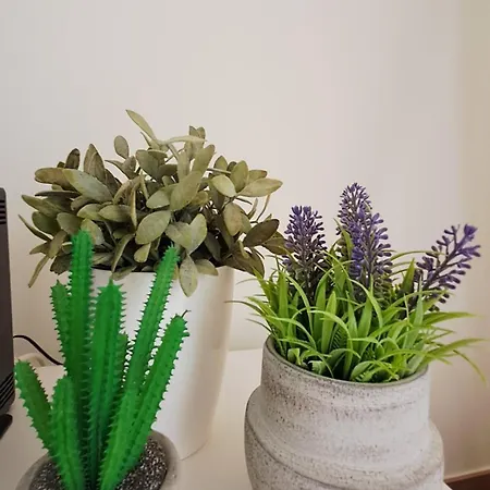 Marina De Albufeira, Apartmán Albufeira